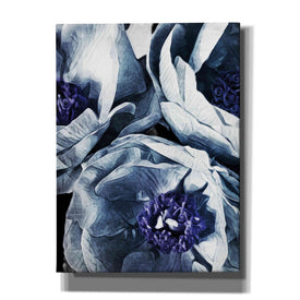 'Peony Blue Petals 3' by Ashley Aldridge Giclee Canvas Wall Art