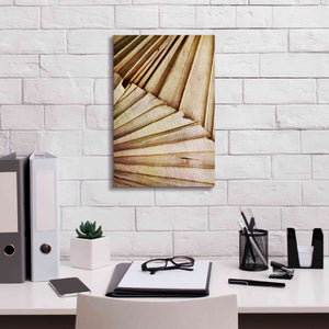 'Natural Dried Palms 1' by Ashley Aldridge Giclee Canvas Wall Art,12 x 18