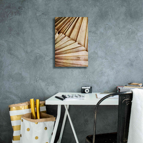 Image of 'Natural Dried Palms 1' by Ashley Aldridge Giclee Canvas Wall Art,12 x 18