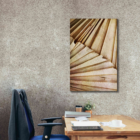 Image of 'Natural Dried Palms 1' by Ashley Aldridge Giclee Canvas Wall Art,26 x 40