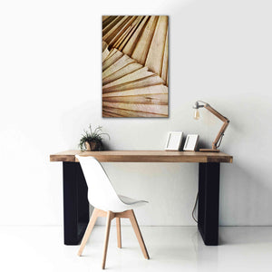 'Natural Dried Palms 1' by Ashley Aldridge Giclee Canvas Wall Art,26 x 40