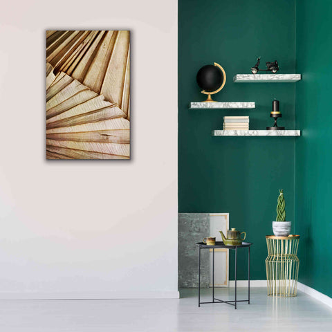 Image of 'Natural Dried Palms 1' by Ashley Aldridge Giclee Canvas Wall Art,26 x 40
