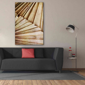 'Natural Dried Palms 1' by Ashley Aldridge Giclee Canvas Wall Art,40 x 60