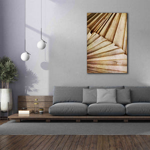 'Natural Dried Palms 1' by Ashley Aldridge Giclee Canvas Wall Art,40 x 60