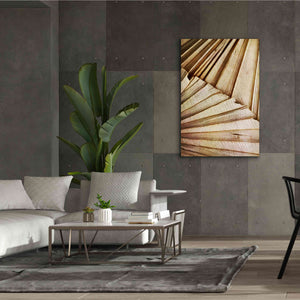 'Natural Dried Palms 1' by Ashley Aldridge Giclee Canvas Wall Art,40 x 60