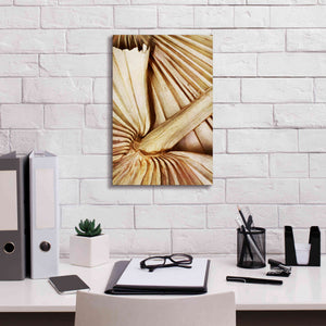 'Natural Dried Palms 2' by Ashley Aldridge Giclee Canvas Wall Art,12 x 18
