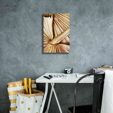 Image of 'Natural Dried Palms 2' by Ashley Aldridge Giclee Canvas Wall Art,12 x 18