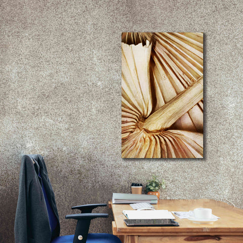 Image of 'Natural Dried Palms 2' by Ashley Aldridge Giclee Canvas Wall Art,26 x 40