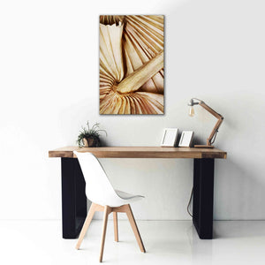 'Natural Dried Palms 2' by Ashley Aldridge Giclee Canvas Wall Art,26 x 40