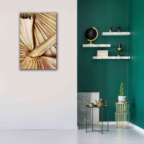 Image of 'Natural Dried Palms 2' by Ashley Aldridge Giclee Canvas Wall Art,26 x 40