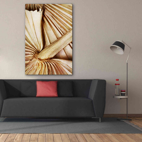 Image of 'Natural Dried Palms 2' by Ashley Aldridge Giclee Canvas Wall Art,40 x 60