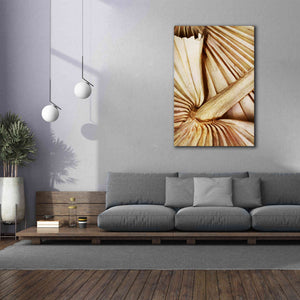 'Natural Dried Palms 2' by Ashley Aldridge Giclee Canvas Wall Art,40 x 60