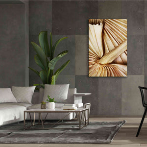 'Natural Dried Palms 2' by Ashley Aldridge Giclee Canvas Wall Art,40 x 60