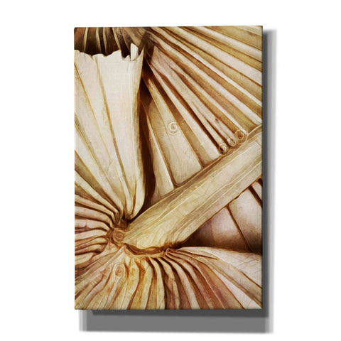 Image of 'Natural Dried Palms 2' by Ashley Aldridge Giclee Canvas Wall Art