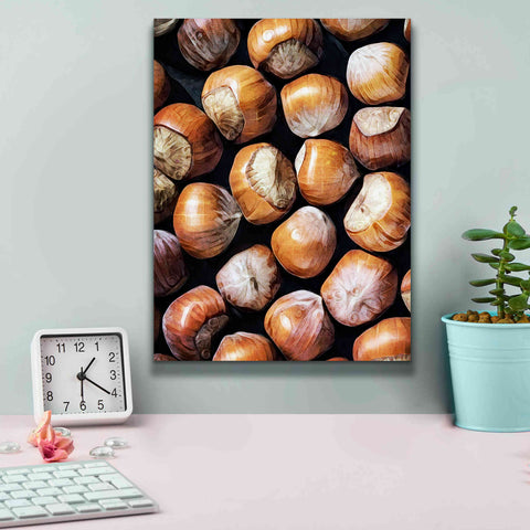 Image of 'Fruit Of The Hazel 1' by Ashley Aldridge Giclee Canvas Wall Art,12 x 16