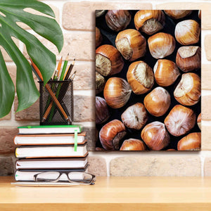 'Fruit Of The Hazel 1' by Ashley Aldridge Giclee Canvas Wall Art,12 x 16