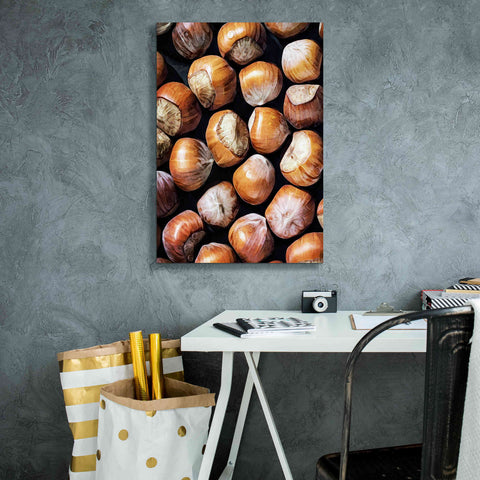 Image of 'Fruit Of The Hazel 1' by Ashley Aldridge Giclee Canvas Wall Art,18 x 26