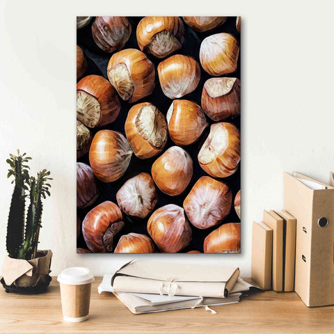 Image of 'Fruit Of The Hazel 1' by Ashley Aldridge Giclee Canvas Wall Art,18 x 26