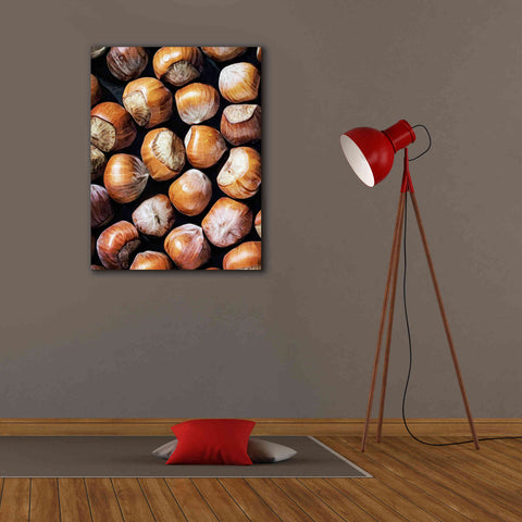 Image of 'Fruit Of The Hazel 1' by Ashley Aldridge Giclee Canvas Wall Art,26 x 34