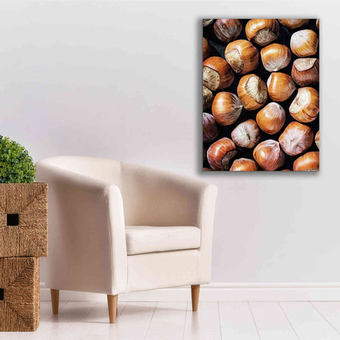 Image of 'Fruit Of The Hazel 1' by Ashley Aldridge Giclee Canvas Wall Art,26 x 34