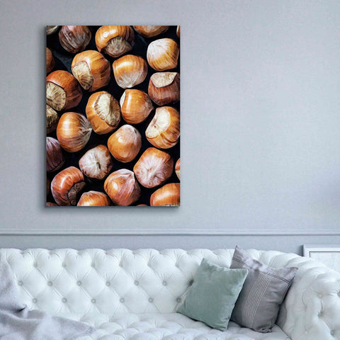 Image of 'Fruit Of The Hazel 1' by Ashley Aldridge Giclee Canvas Wall Art,40 x 54