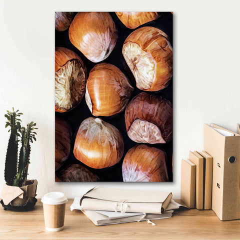 Image of 'Fruit Of The Hazel 2' by Ashley Aldridge Giclee Canvas Wall Art,18 x 26