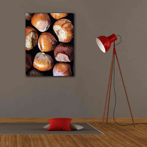 Image of 'Fruit Of The Hazel 2' by Ashley Aldridge Giclee Canvas Wall Art,26 x 34