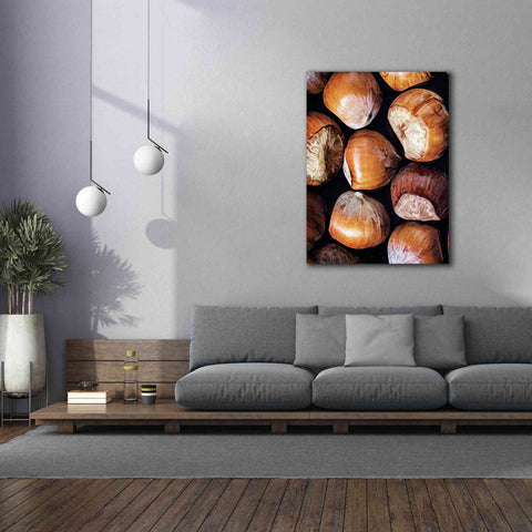 Image of 'Fruit Of The Hazel 2' by Ashley Aldridge Giclee Canvas Wall Art,40 x 54