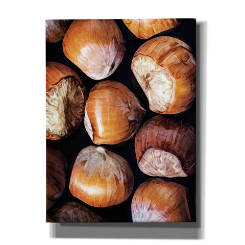 Image of 'Fruit Of The Hazel 2' by Ashley Aldridge Giclee Canvas Wall Art