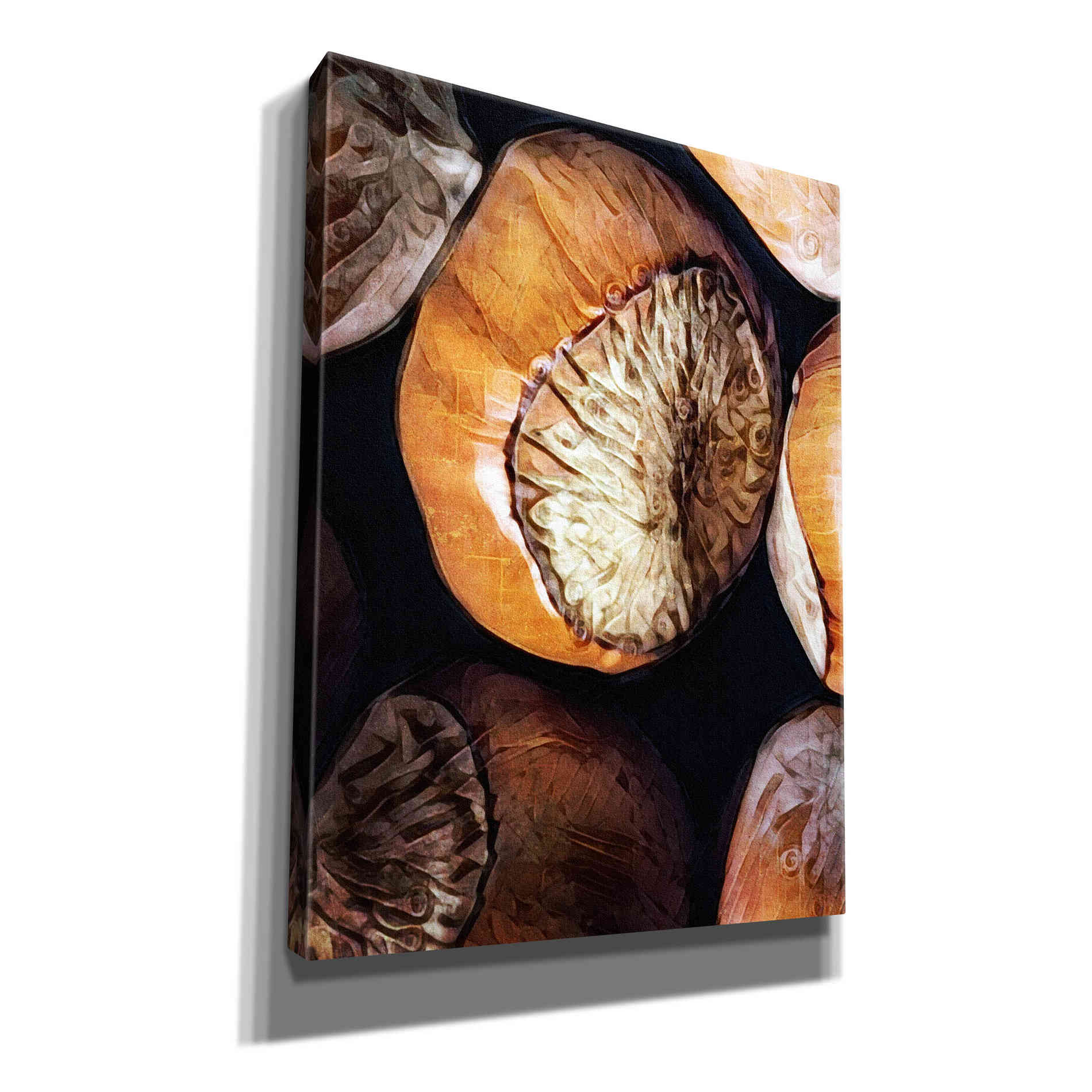 'Fruit Of The Hazel 3' by Ashley Aldridge Giclee Canvas Wall Art