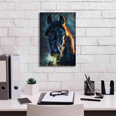 Image of 'Black Stallion Stare 1' by Ashley Aldridge Giclee Canvas Wall Art,12 x 18