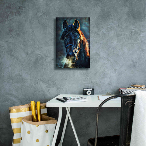 Image of 'Black Stallion Stare 1' by Ashley Aldridge Giclee Canvas Wall Art,12 x 18