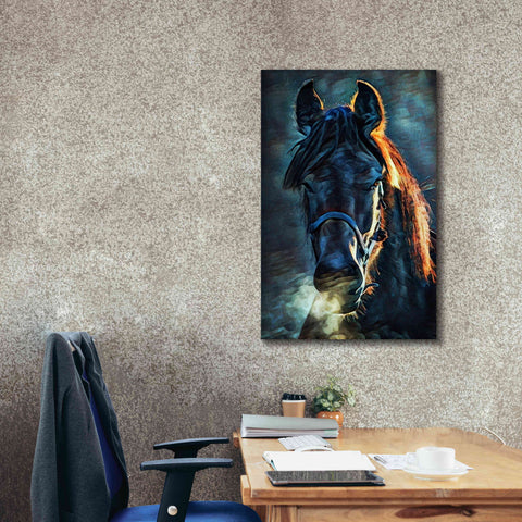 Image of 'Black Stallion Stare 1' by Ashley Aldridge Giclee Canvas Wall Art,26 x 40