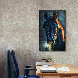 'Black Stallion Stare 1' by Ashley Aldridge Giclee Canvas Wall Art,26 x 40