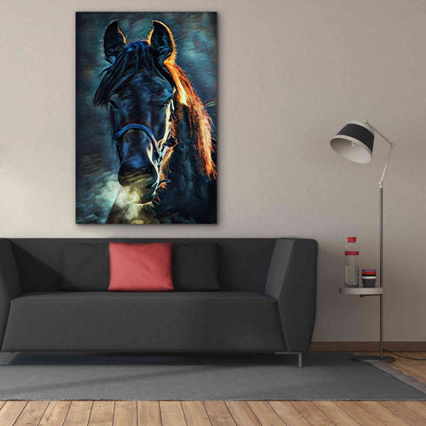 Image of 'Black Stallion Stare 1' by Ashley Aldridge Giclee Canvas Wall Art,40 x 60