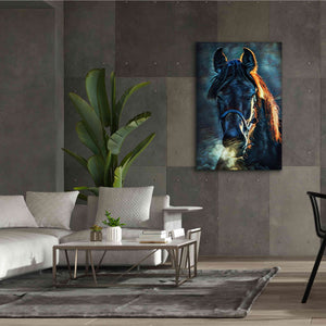 'Black Stallion Stare 1' by Ashley Aldridge Giclee Canvas Wall Art,40 x 60