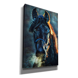 'Black Stallion Stare 1' by Ashley Aldridge Giclee Canvas Wall Art