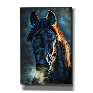 'Black Stallion Stare 1' by Ashley Aldridge Giclee Canvas Wall Art