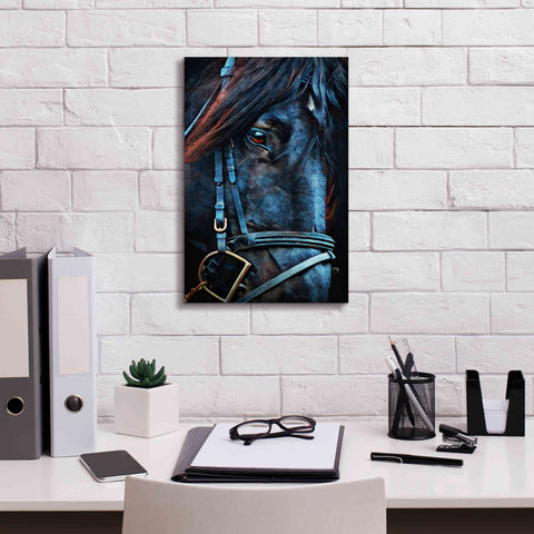 Image of 'Black Stallion Stare 2' by Ashley Aldridge Giclee Canvas Wall Art,12 x 18