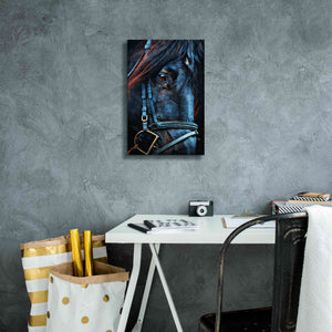 'Black Stallion Stare 2' by Ashley Aldridge Giclee Canvas Wall Art,12 x 18