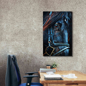 'Black Stallion Stare 2' by Ashley Aldridge Giclee Canvas Wall Art,26 x 40