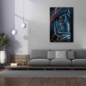 'Black Stallion Stare 2' by Ashley Aldridge Giclee Canvas Wall Art,40 x 60
