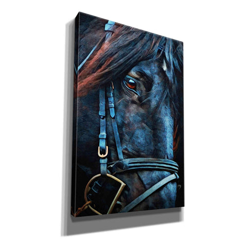 Image of 'Black Stallion Stare 2' by Ashley Aldridge Giclee Canvas Wall Art