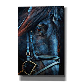 'Black Stallion Stare 2' by Ashley Aldridge Giclee Canvas Wall Art