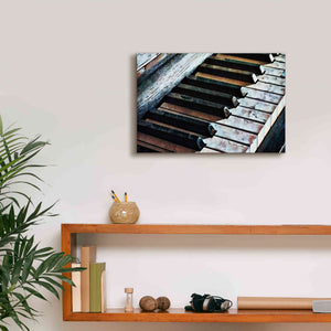 'Magnified & Musical 1' by Ashley Aldridge Giclee Canvas Wall Art,18 x 12