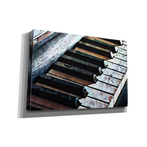 Image of 'Magnified & Musical 1' by Ashley Aldridge Giclee Canvas Wall Art
