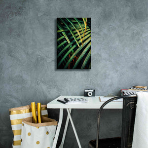 'Beauty Amongst Palms 1' by Ashley Aldridge Giclee Canvas Wall Art,12 x 18