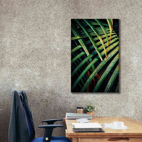 Image of 'Beauty Amongst Palms 1' by Ashley Aldridge Giclee Canvas Wall Art,26 x 40