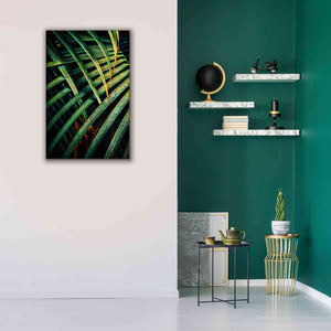 'Beauty Amongst Palms 1' by Ashley Aldridge Giclee Canvas Wall Art,26 x 40