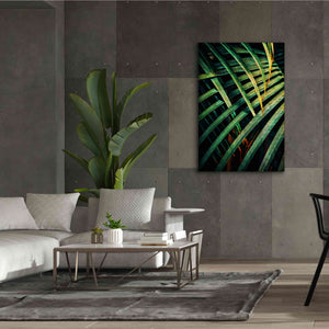 'Beauty Amongst Palms 1' by Ashley Aldridge Giclee Canvas Wall Art,40 x 60